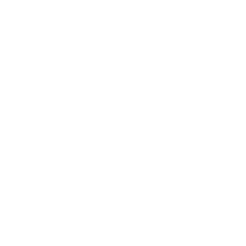 Studio Drewskii D Logo
